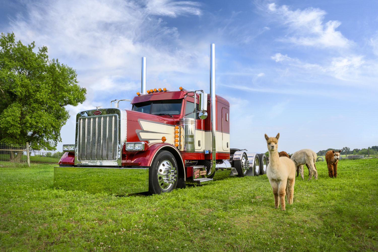 Shell Rotella SuperRigs